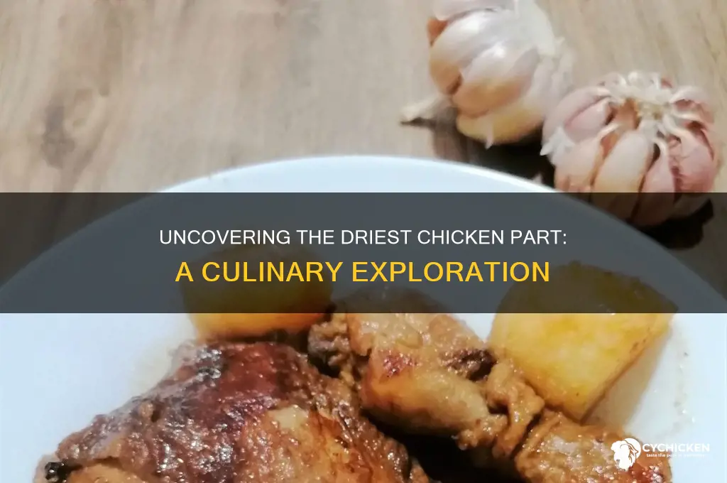 what is the driest part of the chicken