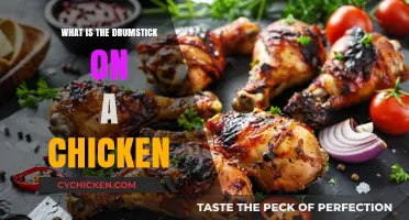 Understanding the Drumstick: A Guide to Chicken Anatomy and Culinary Uses