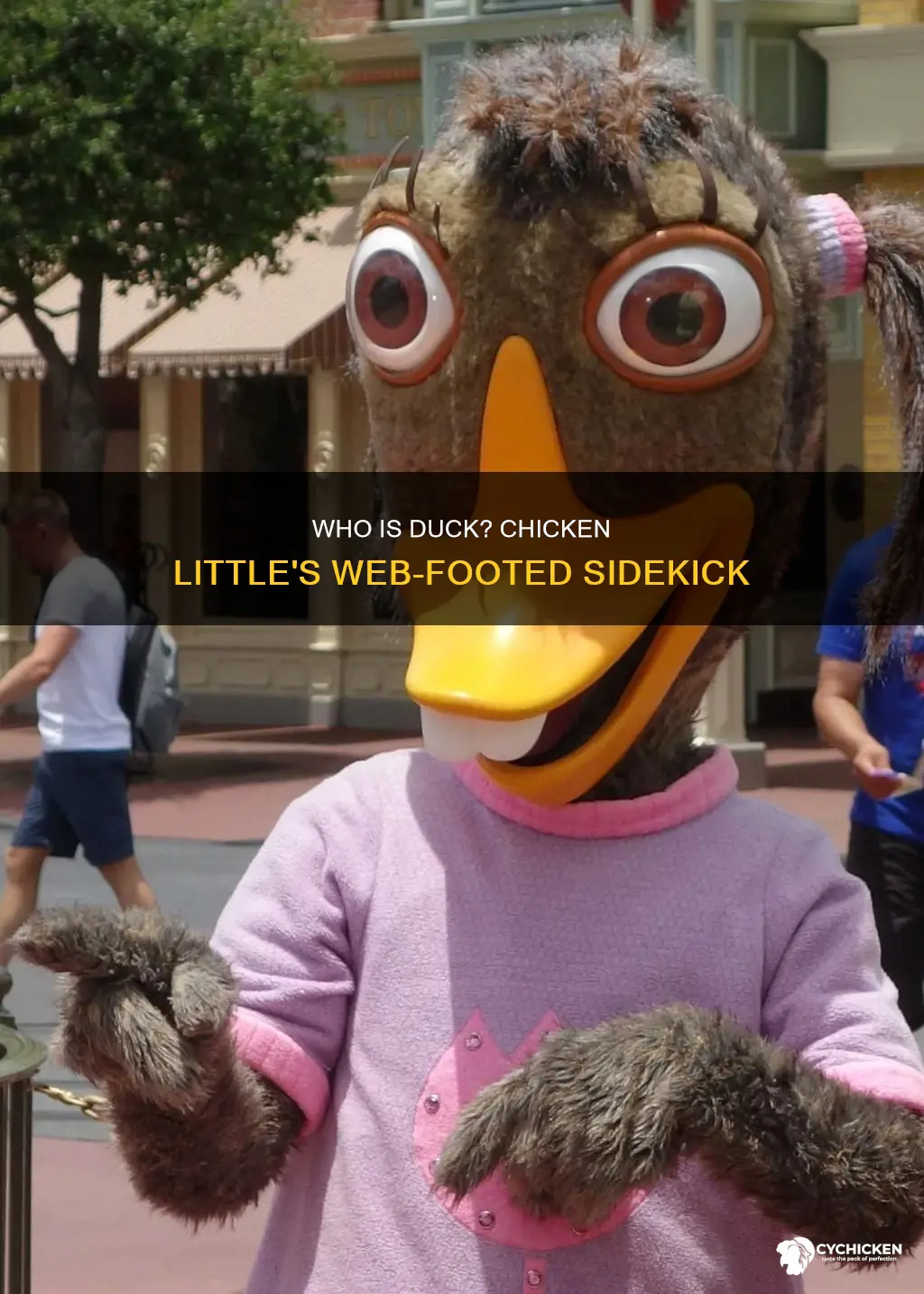 what is the duck