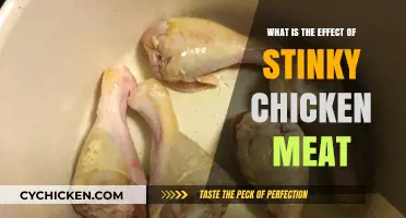 Stinky Chicken Meat: Health Risks and Food Safety Concerns Explained