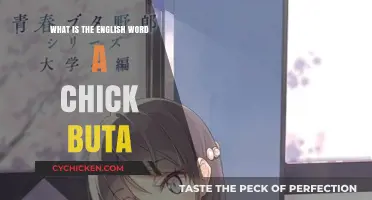 What is the English Word for 'Chick Buta'? Unraveling the Meaning