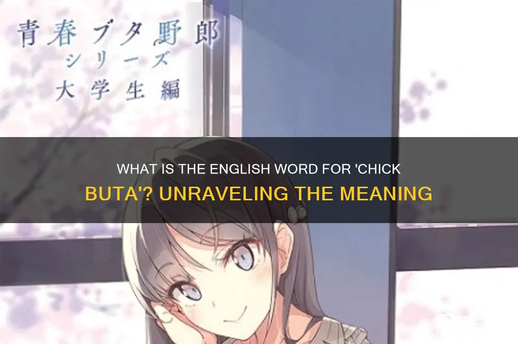 what is the english word a chick buta