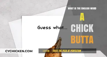 Unraveling the Mystery: What Does 'Chick Butta' Mean in English?