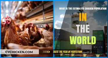 Chicken Population: Global Estimate