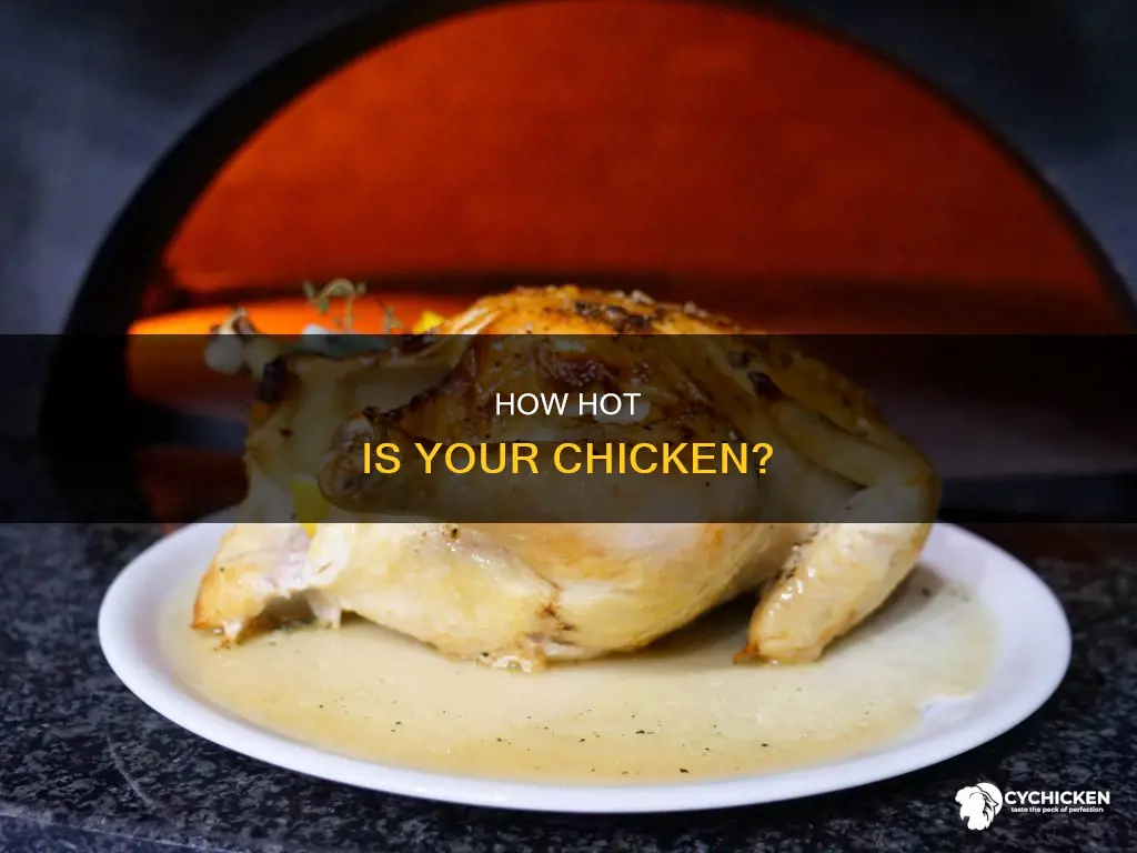what is the external temperature of chicken when it