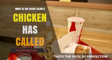 The Chicken's Extra Digit: What's it Called?