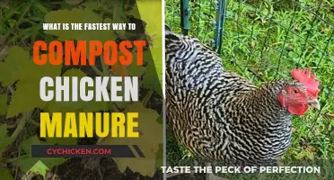Chicken Manure Composting: The Fastest, Most Efficient Method