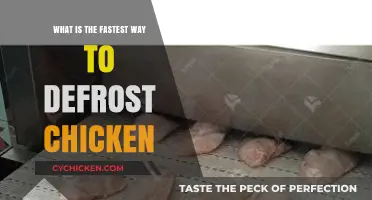Quick Chicken Defrosting: Safest and Fastest Methods Revealed