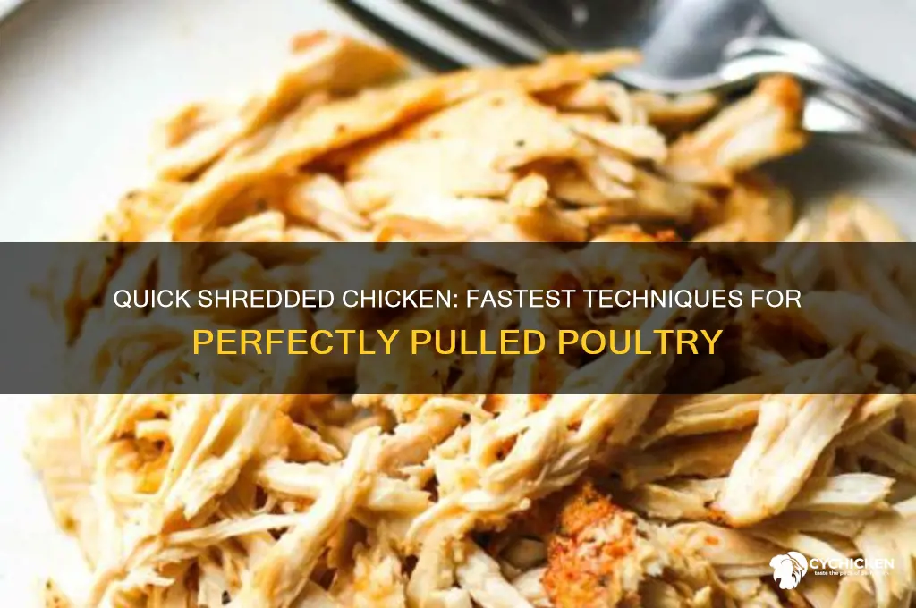 what is the fastest way to shred chicken