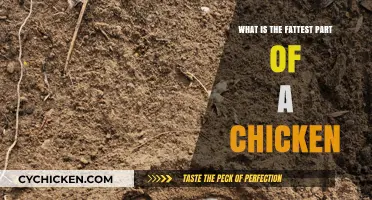 Discovering the Chicken's Plumpest Part: A Culinary Guide