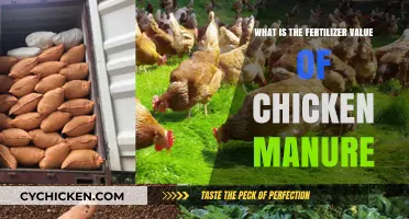 Unlocking Nutrient Potential: Understanding Chicken Manure's Fertilizer Value