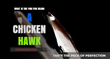 Understanding the Legal Ramifications of Killing a Chicken Hawk