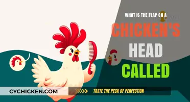The Comb: A Chicken's Crown