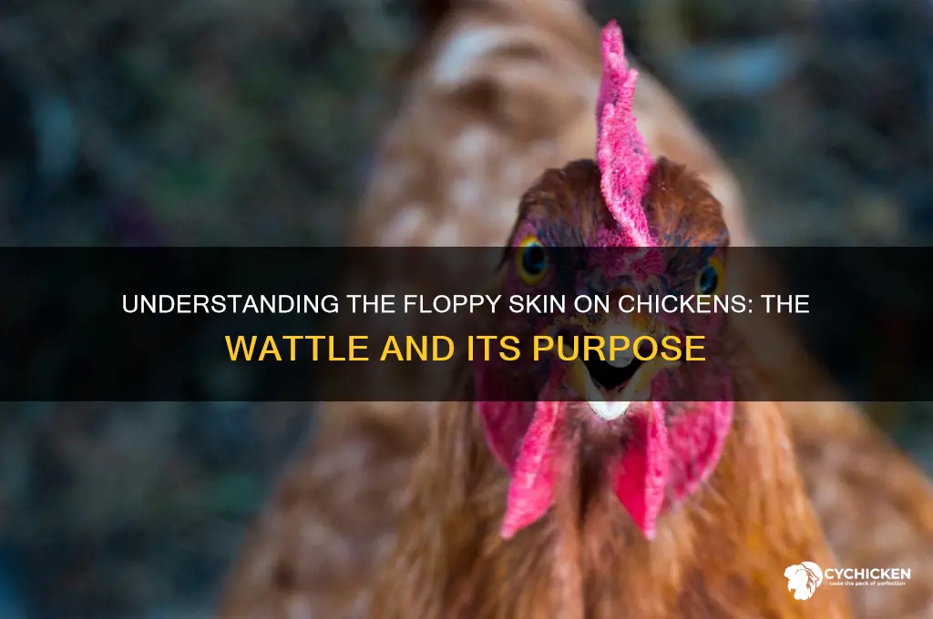 what is the floppy thing on a chicken