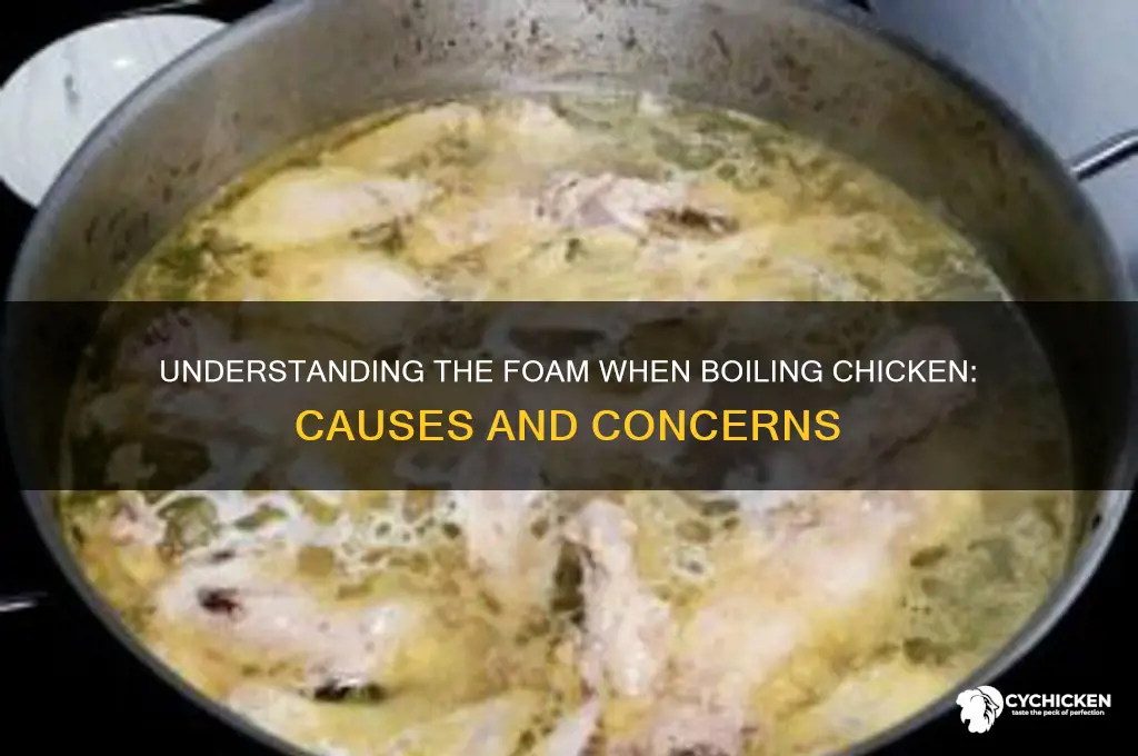 what is the foam from when boiling chicken