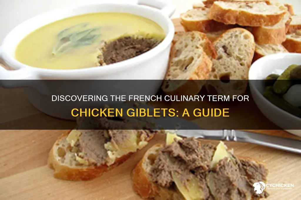 what is the french word for chicken giblets