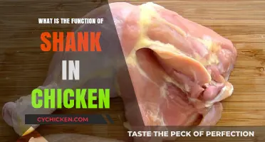 Understanding the Role of the Chicken Shank in Poultry Anatomy