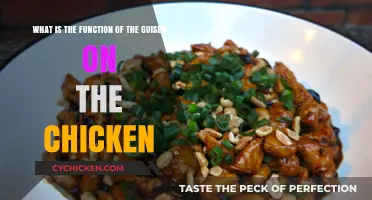 The Guise of the Guiser: Chicken Function Explained