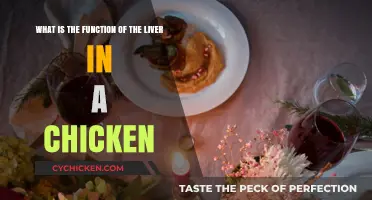 Chicken Liver: Understanding Its Vital Functions