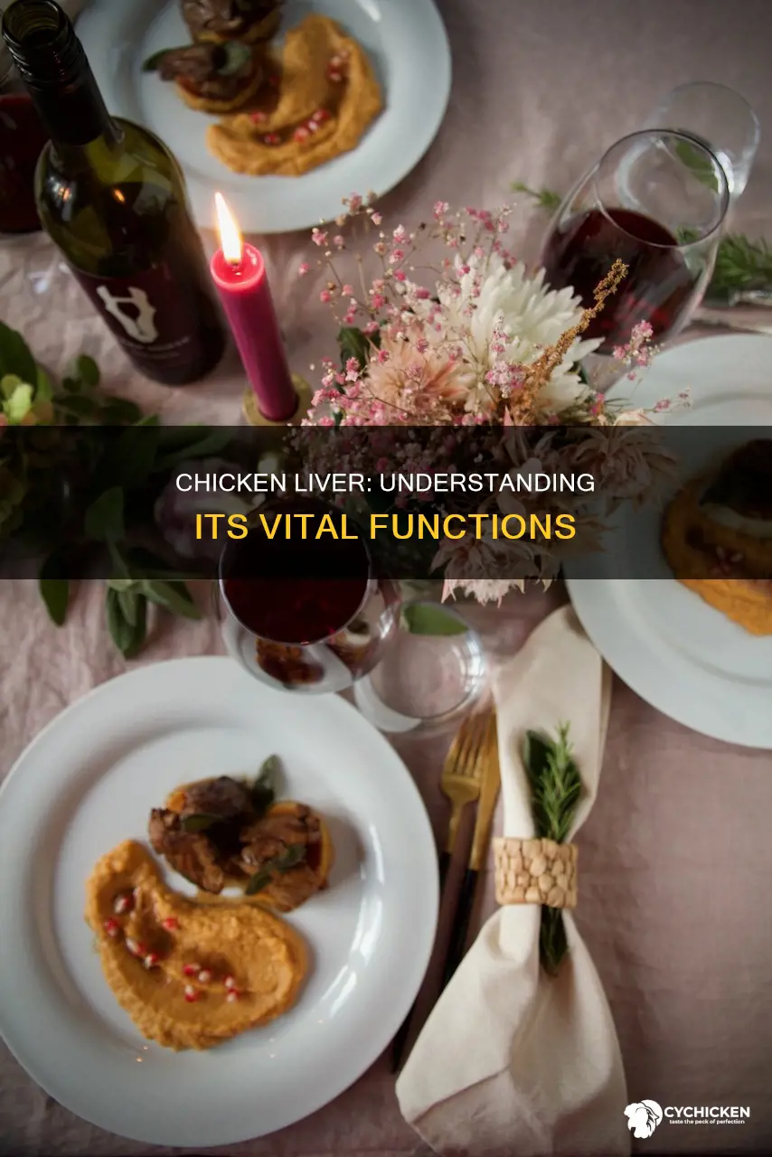 what is the function of the liver in a chicken