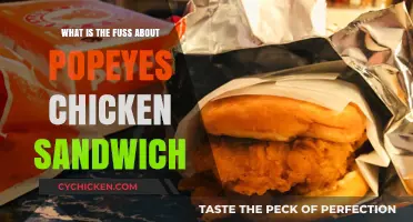 Popeyes Chicken Sandwich Craze: Unraveling the Hype and Flavor Frenzy