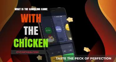 Unveiling the Mysterious Chicken Gambling Game: Rules and Origins Explained