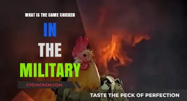 Understanding the Military's Game Chicken: Rules, Risks, and Traditions