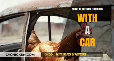 Understanding the Dangerous Game of Chicken with a Car