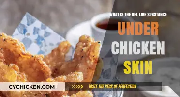 Understanding the Gel-Like Substance Under Chicken Skin: Facts and Insights