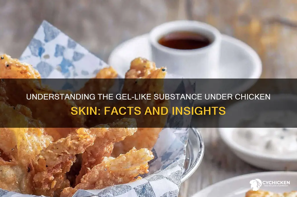 what is the gel like substance under chicken skin