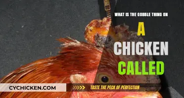 Gobbler's Knob: The Chicken's Wattle Explained