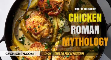 Unveiling the Roman Deity Linked to Chickens in Ancient Mythology