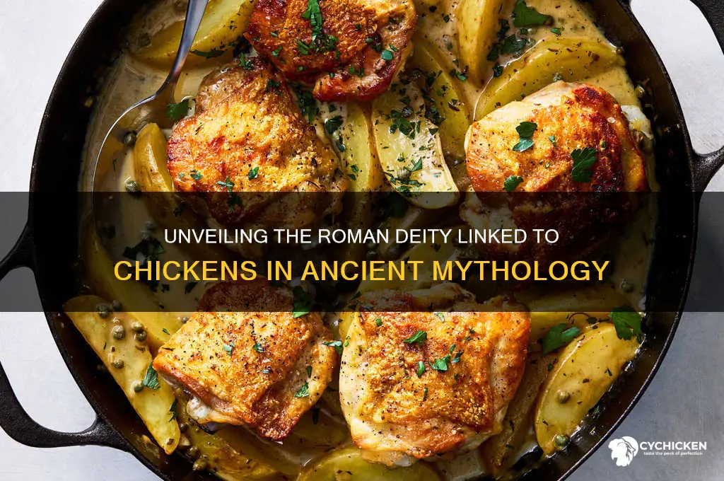 what is the god of chicken roman mythology