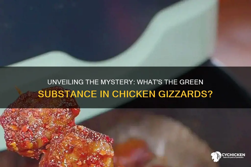 what is the green stuff in chicken gizzards