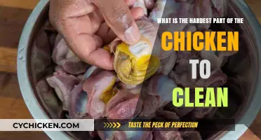 Cleaning Chicken: The Toughest Part to Scrub Clean