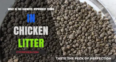 Chicken Litter: The Dark Side of Poultry Farming