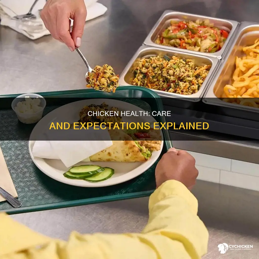 what is the health care and expectations of a chicken