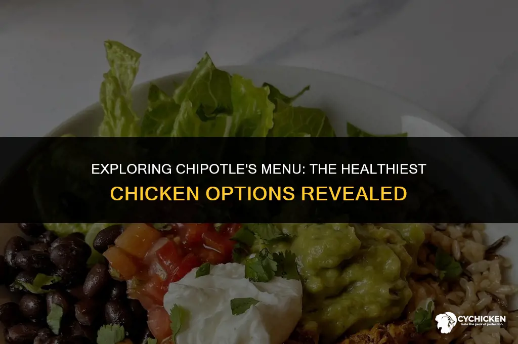 what is the healthies chicken at chipotle