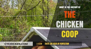 From Humble Beginnings: The Evolution of Chicken Coops Throughout History