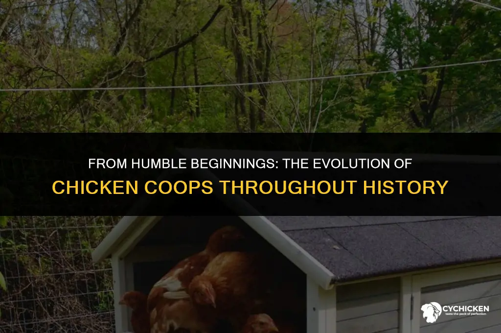 what is the history of the chicken coop