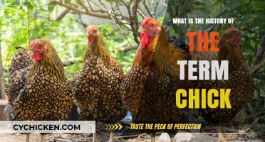 Unraveling the Origins: The Surprising History of the Term 'Chick