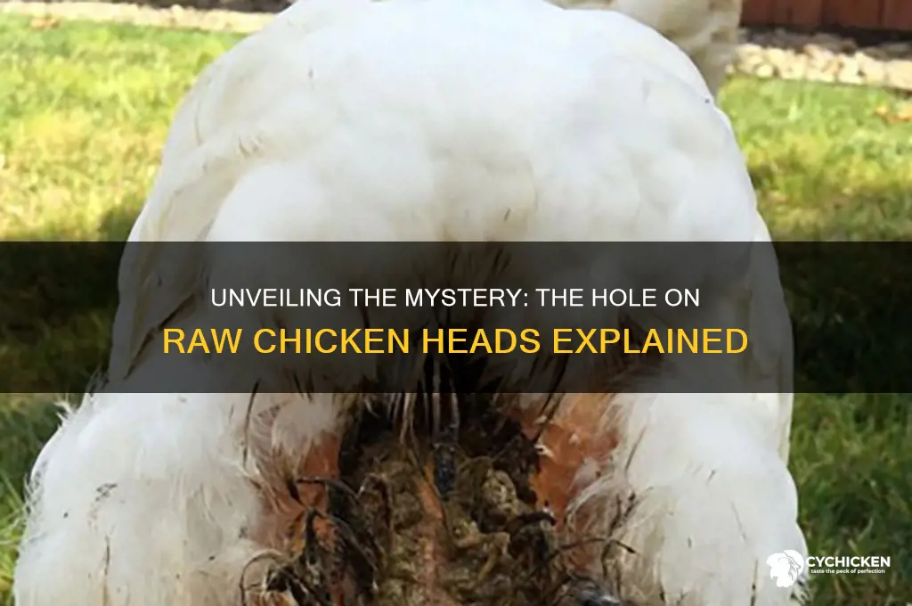 what is the hole on raw chicken heads