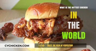World's Fiery Feast: Discovering the Hottest Chicken on Earth