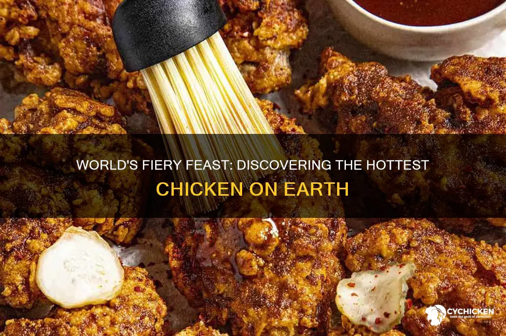 what is the hottest chicken in the world