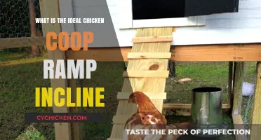 The Perfect Slope: Designing an Ideal Chicken Coop Ramp