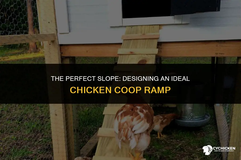 what is the ideal chicken coop ramp incline