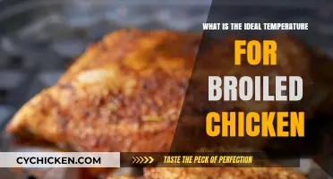 Perfect Broiled Chicken: Mastering the Ideal Temperature for Juicy Results