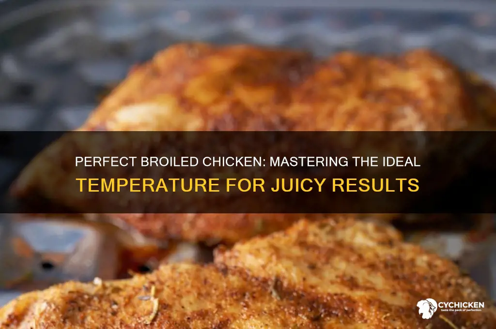 what is the ideal temperature for broiled chicken