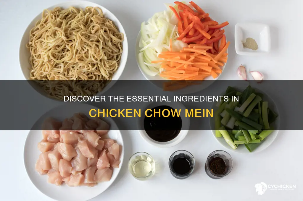 what is the ingredients in chicken chow mein
