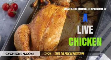 Ideal Internal Temperature for Healthy Chickens